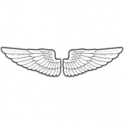 Mr.Sticker RFHLM30 - 14035 - Wings Sticker