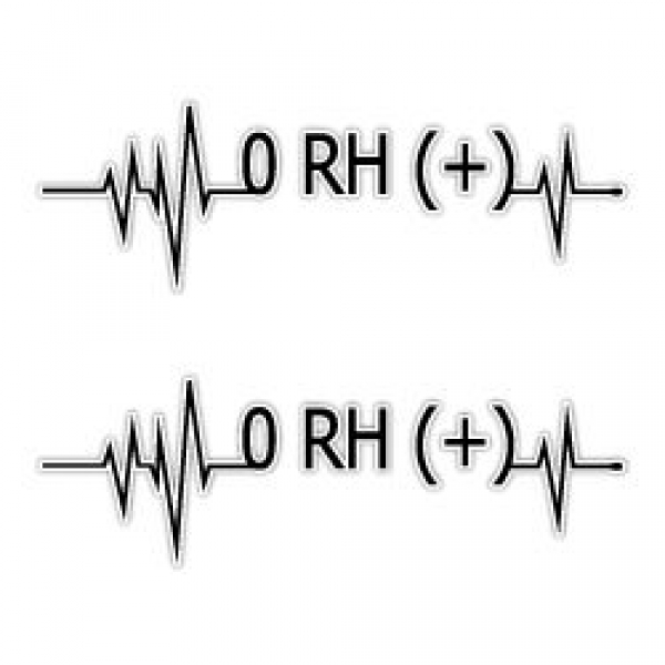 Mr.Sticker BT42 Kalp Ritmi Desenli 0 Rh Pozitif (+) Kan Grubu Etiketi