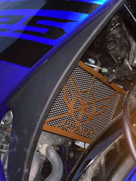 Yamaha Yzf R25 Abs Kanatlı Gold Black Radyatör Koruma