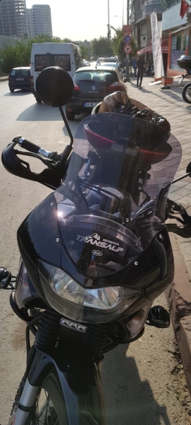 HONDA TRANSALP XL650 UZUN CAM KOYU FÜME 50CM 4MM