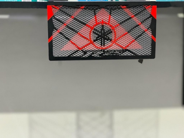 yamaha yzf r25 special D Model Radyatör koruma 