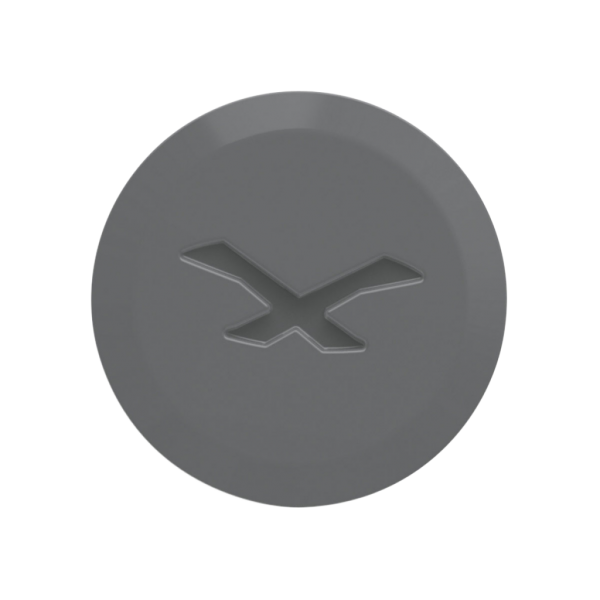 NEXX SX.10 YAN KAPAK VİDASI MAT TITANIUM